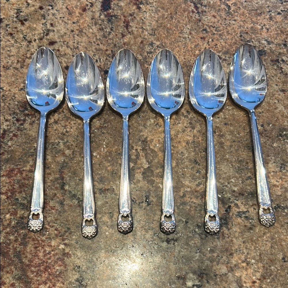 Roger Bros Elegant Silver-Plated Spoons Set